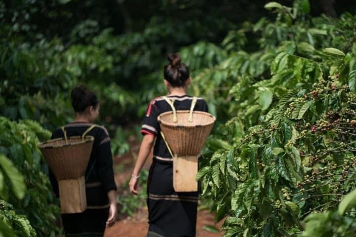 Dugiang Homestay Buôn Ma Thuột Exteriör bild