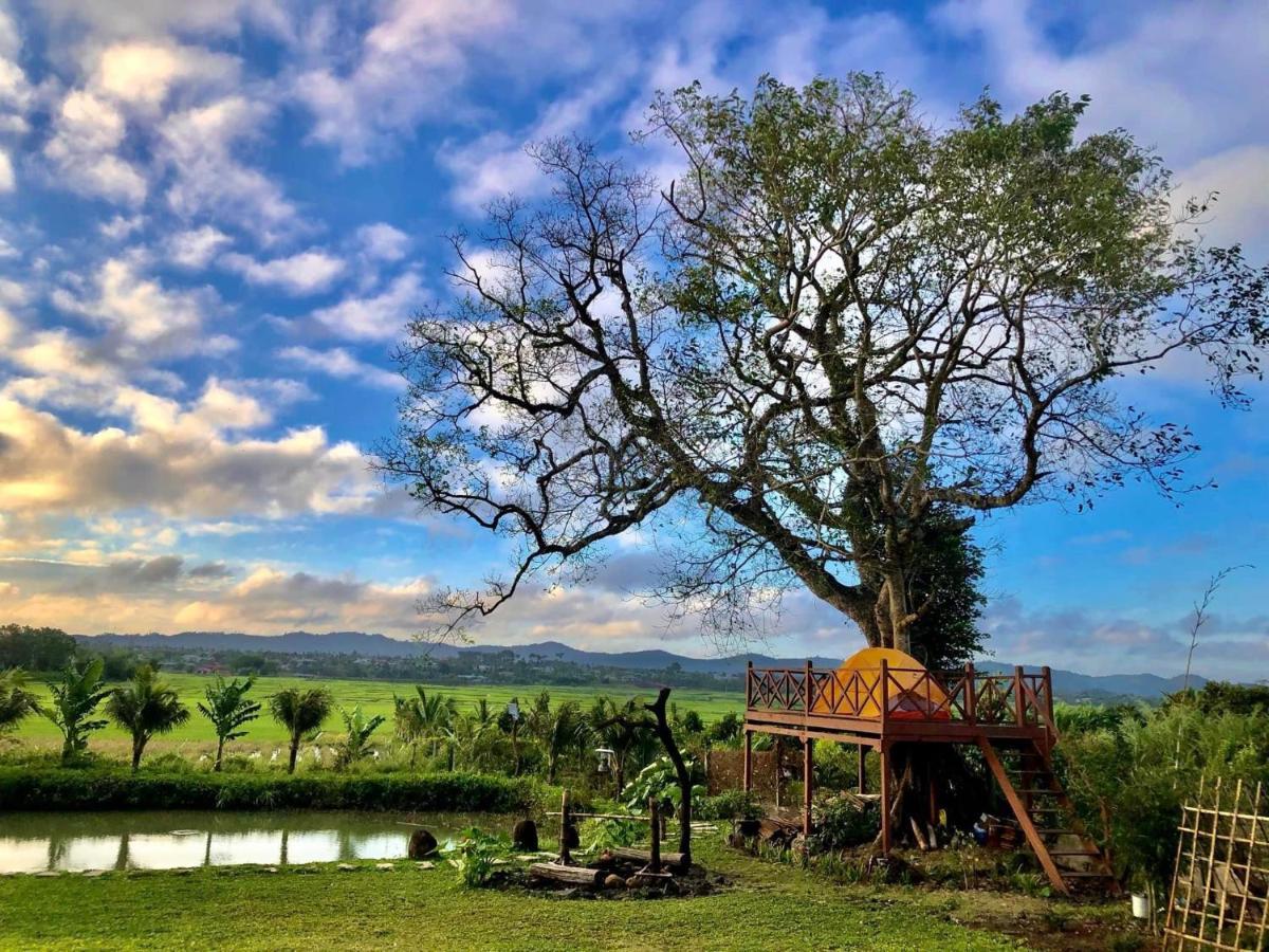 Dugiang Homestay Buôn Ma Thuột Exteriör bild